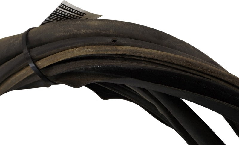 22654573 1995-2005 Chevrolet Cavalier Passenger Rear RR Door Seal Used OEM 88955389 