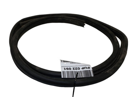 WT91XXXAC 2004-2008 Chrysler Pacifica Passenger Rear RR Door Seal Used OEM WT91XXXAC