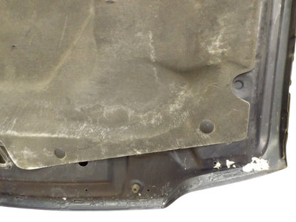 2L1Z16612AA 2003-2006 Ford Expedition Hood Panel Used OEM 2L1Z16612AA