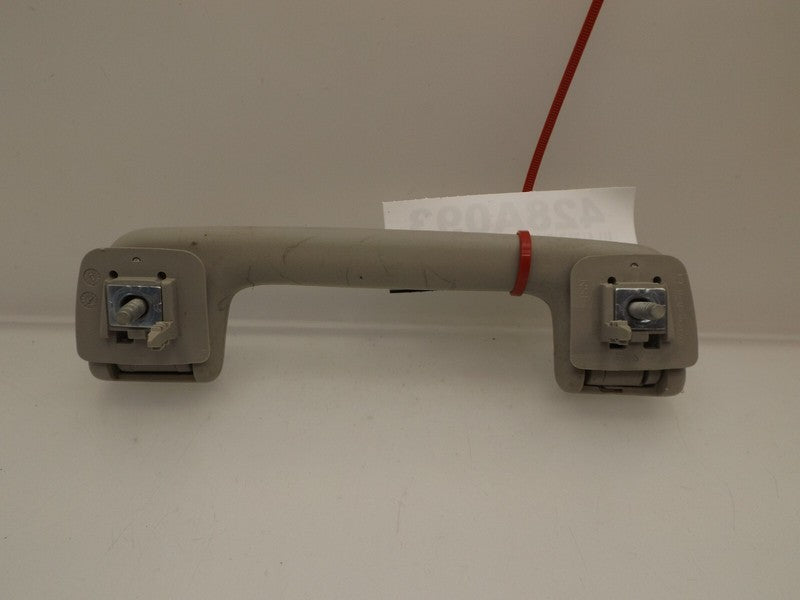15248230 2005-2009 Chevy Trailblazer LS Overhead Grab Handle 15248230