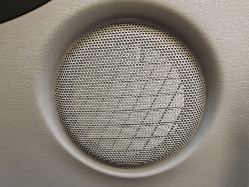 1BF131L2AA 2004-2008 Chrysler Pacifica Driver Rear RL Interior Door Panel Used OEM