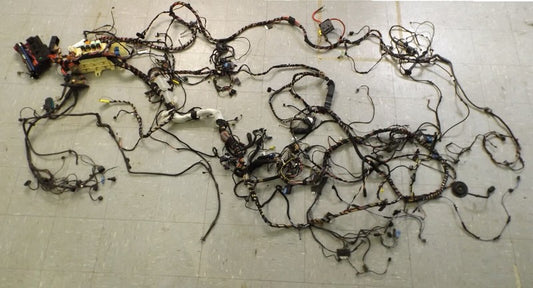 69423281 2002-2006 BMW 325xi Wagon Body Wiring Harness Used OEM 69423281