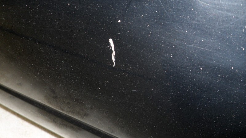 8W1Z16005A 2008-2010 Lincoln Town Car Passenger FR Fender Used 8W1Z16005A OEM
