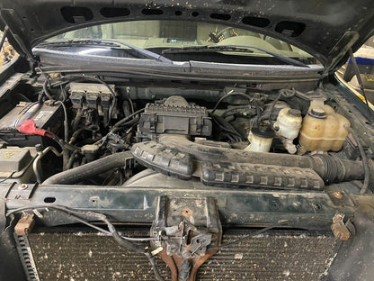 6L3Z1827406AAA 2004-2008 Ford F-150 Passenger Rear Right Door Trim Panel Used OEM 6L3Z1827407C