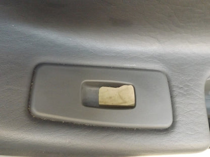 1BF131L2AA 2004-2008 Chrysler Pacifica Passenger Rear RR Interior Door Panel Used OEM