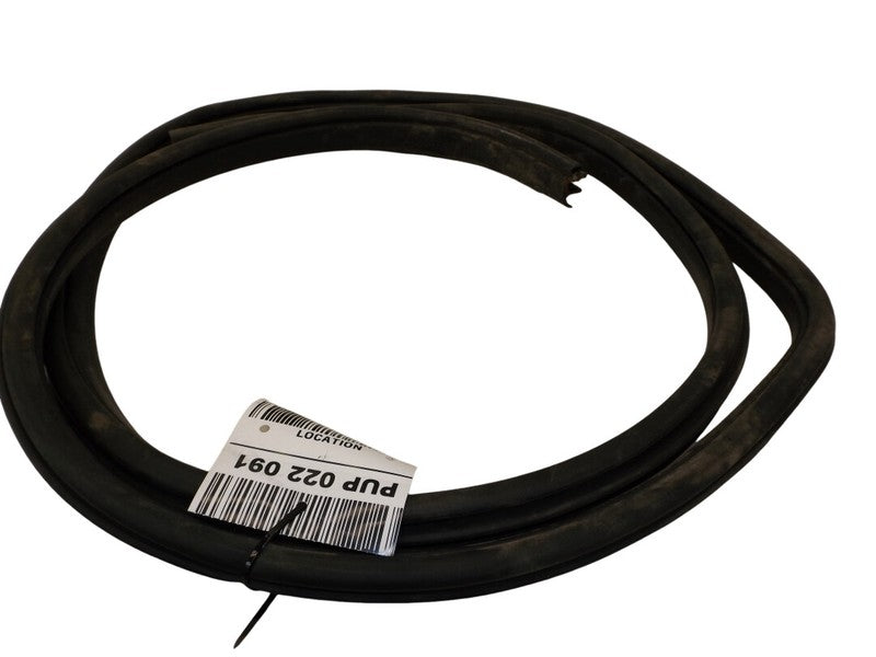 WT91XXXAC 2004-2008 Chrysler Pacifica Passenger Rear RR Door Seal Used OEM WT91XXXAC
