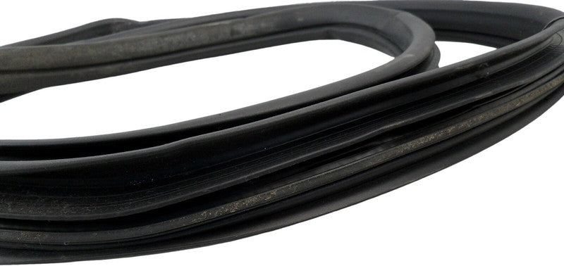 89039906 2004-2008 Pontiac Grand Prix Driver Rear RL Door Seal Used OEM 89039906