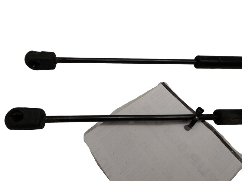 4L3Z16C826AA 2004-2008 Ford F-150 XLT Hood Lift Support Set Of 2 Used OEM 4L3416C826AD