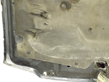 2L1Z16612AA 2003-2006 Ford Expedition Hood Panel Used OEM 2L1Z16612AA