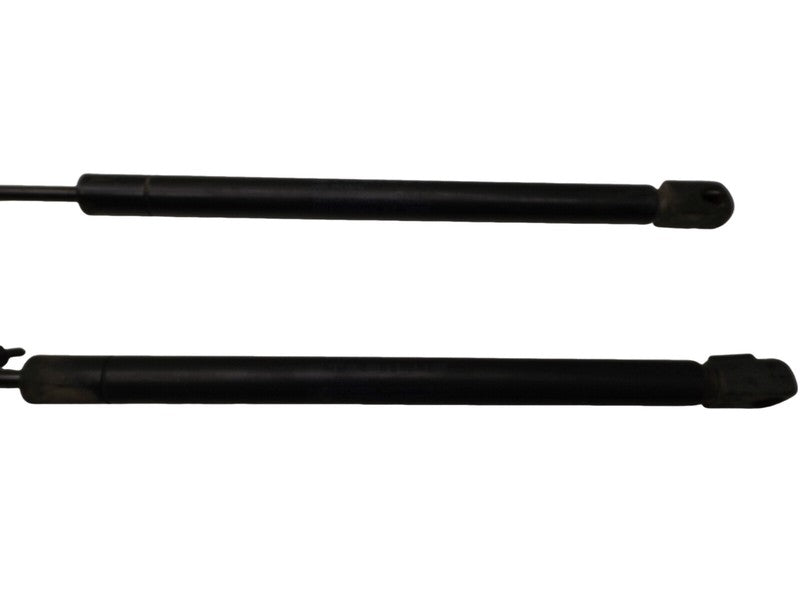 4L3Z16C826AA 2004-2008 Ford F-150 XLT Hood Lift Support Set Of 2 Used OEM 4L3416C826AD