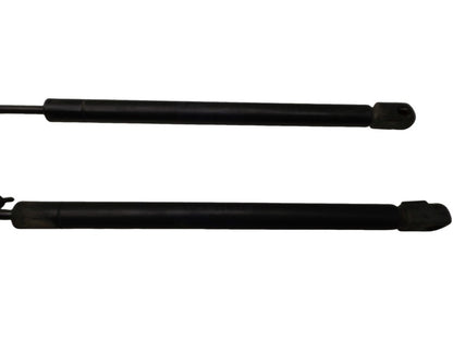 4L3Z16C826AA 2004-2008 Ford F-150 XLT Hood Lift Support Set Of 2 Used OEM 4L3416C826AD