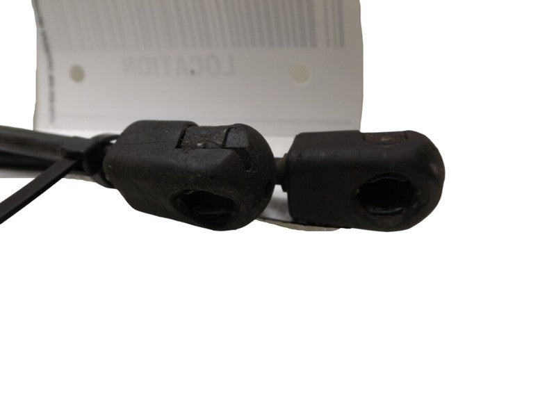 4L3Z16C826AA 2004-2008 Ford F-150 Hood Lift Support Set Of 2 Used OEM 4L3416C826AD