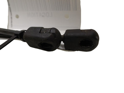 4L3Z16C826AA 2004-2008 Ford F-150 Hood Lift Support Set Of 2 Used OEM 4L3416C826AD