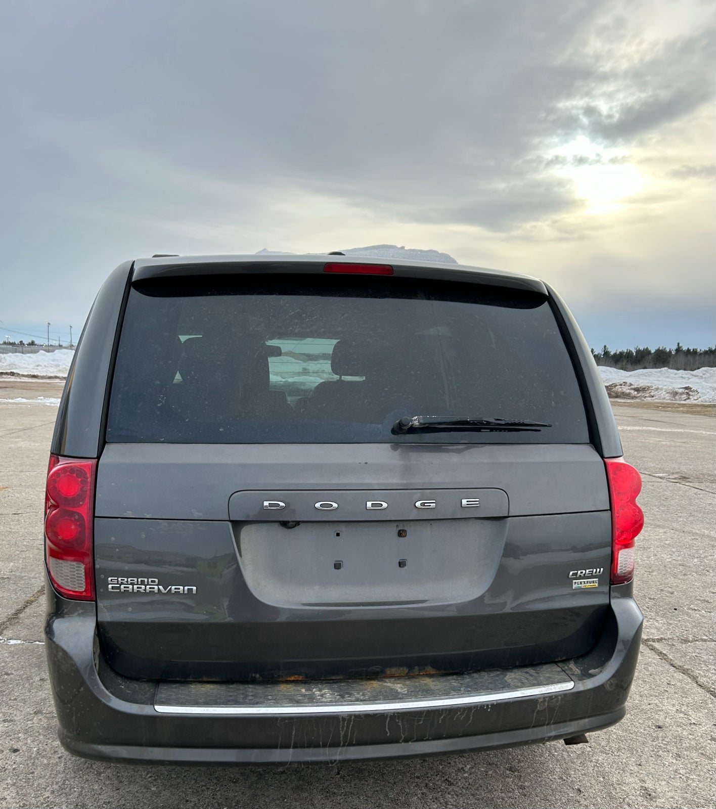 1PG67BD1AB 2015-2018 Dodge Grand Caravan RL Sliding Door Trim Panel Used 1PG67BD1AB OEM